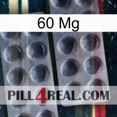 60 Mg 31
